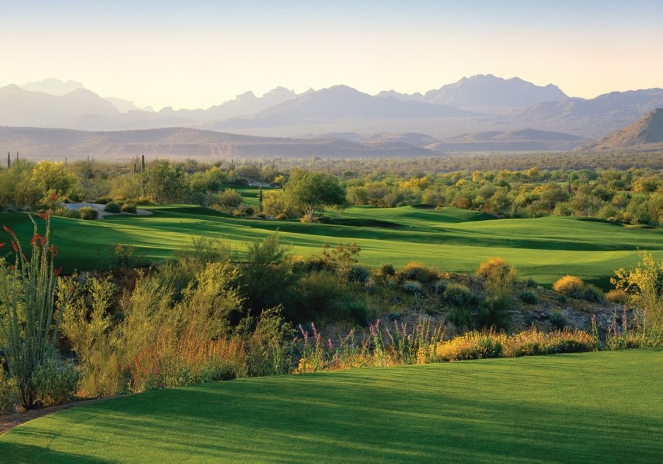 Indepth Review of Cholla Golf Course at WeKoPa Golf Club