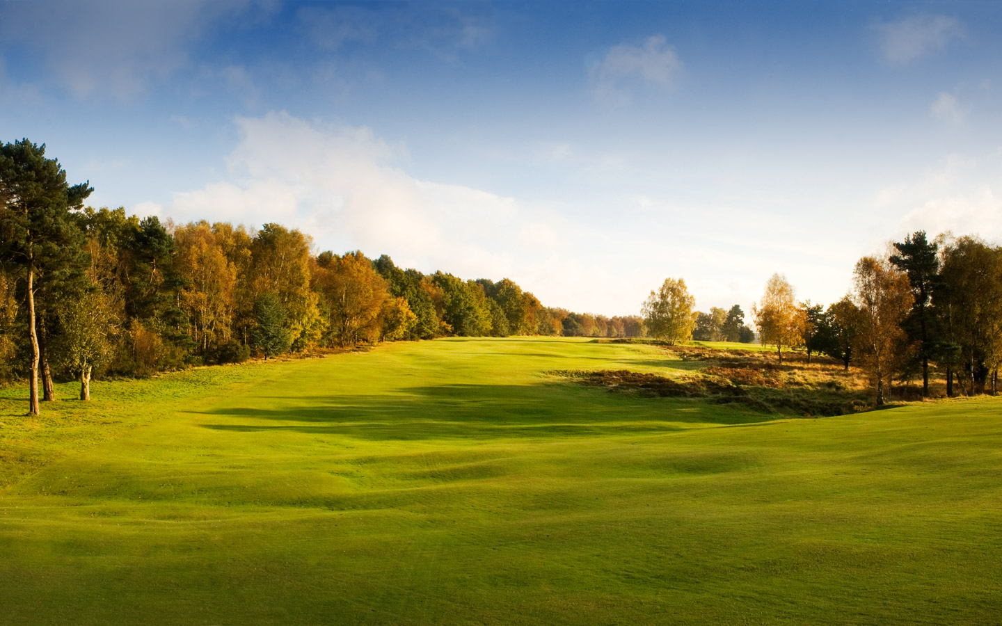 Walton Heath Golf Club Review A Must Play on Your trip to London