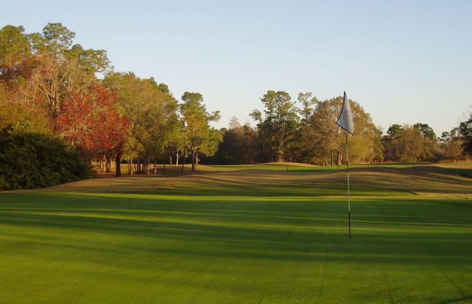 The Eagles Golf Club Tampa Bay’s Premier Public Golf Facility Golf