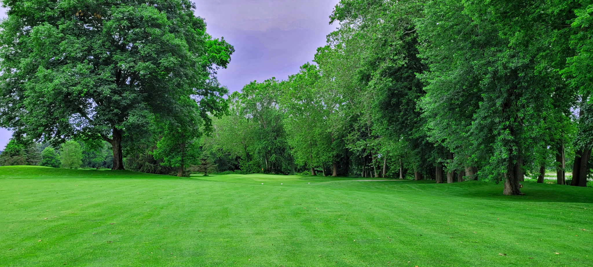 River Greens Golf Course The Golfin Guy 4 Golf Aficionado River Greens Golf Course The Golfin Guy 4 Golf Aficionado