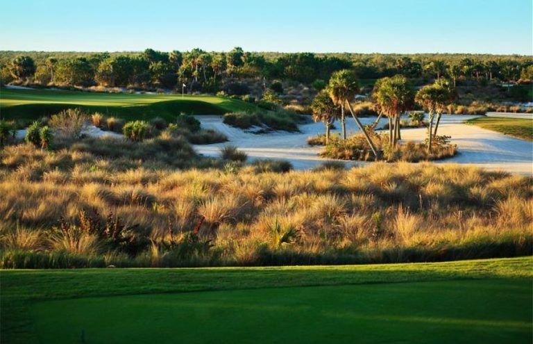 Hammock Bay Golf